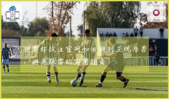世界杯投注官网如何辨别正规与否，避免踩雷的实用指南