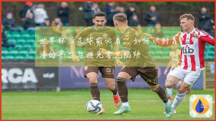 世界杯买足球前必看：如何识别靠谱的平台与避免常见陷阱