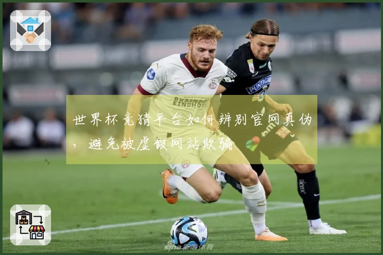 世界杯竞猜平台如何辨别官网真伪，避免被虚假网站欺骗